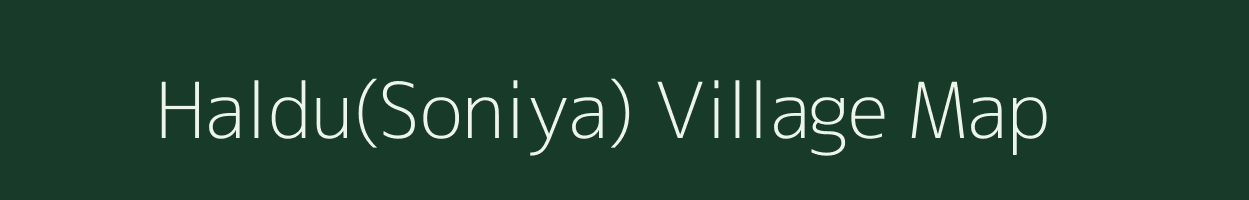 Haldu(Soniya) village map in Uttarakhand