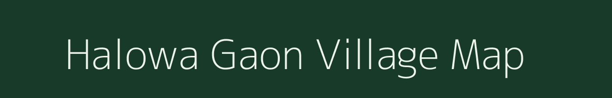 Halowa Gaon village map in Assam