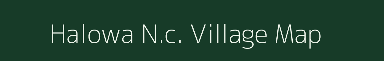 Halowa N.c. village map in Assam