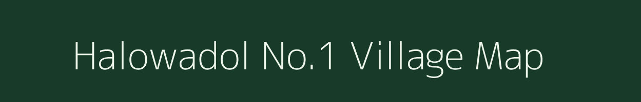 Halowadol No.1 village map in Assam