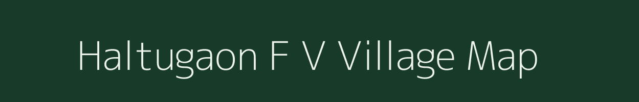 Haltugaon F V village map in Assam