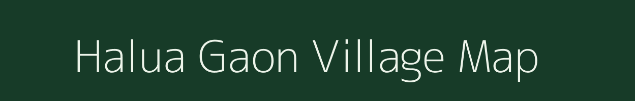 Halua Gaon village map in Assam