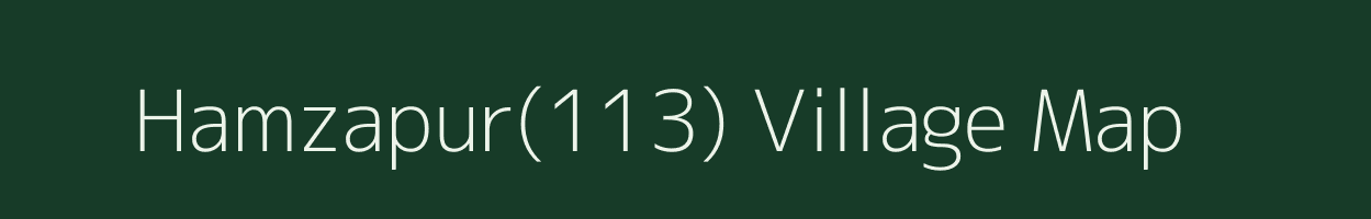 Hamzapur(113) village map in Haryana