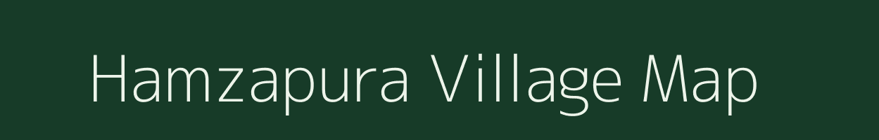 Hamzapura village map in Rajasthan