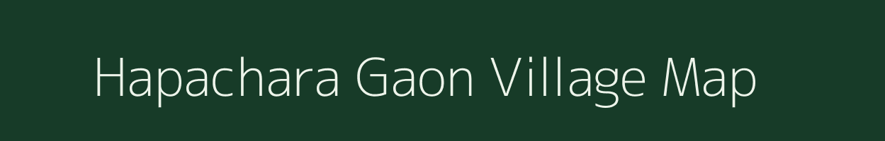 Hapachara Gaon village map in Assam