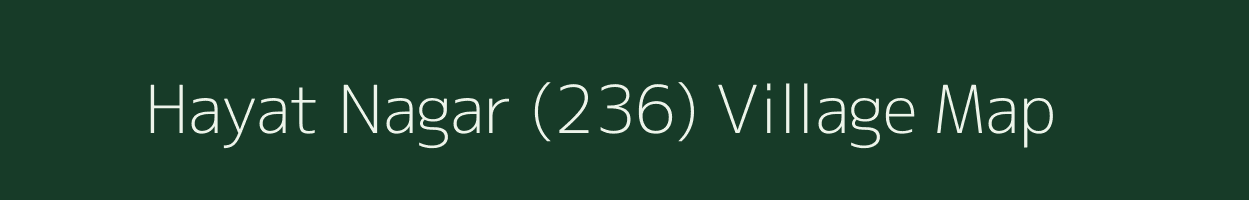 Hayat Nagar (236) village map in Punjab