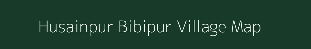 Husainpur Bibipur village map in Uttar Pradesh