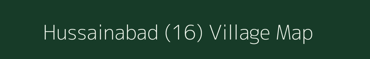 Hussainabad (16) village map in Punjab