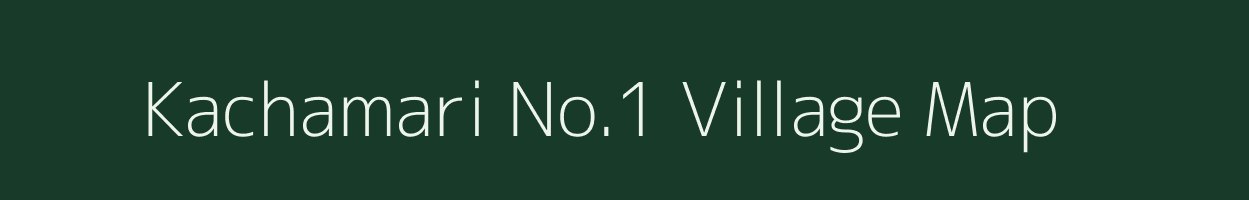 Kachamari No.1 village map in Assam