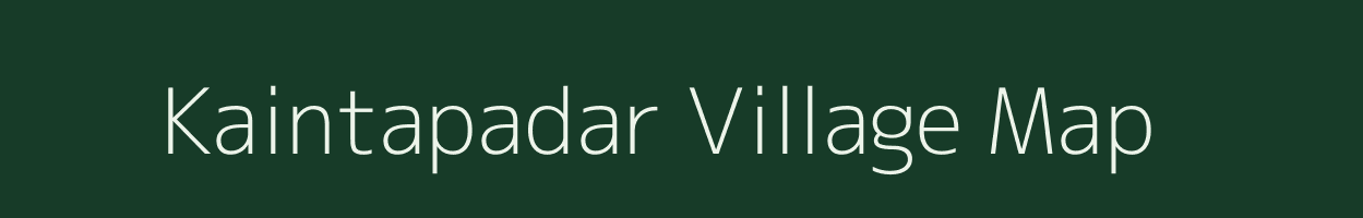 Kaintapadar village map in Odisha