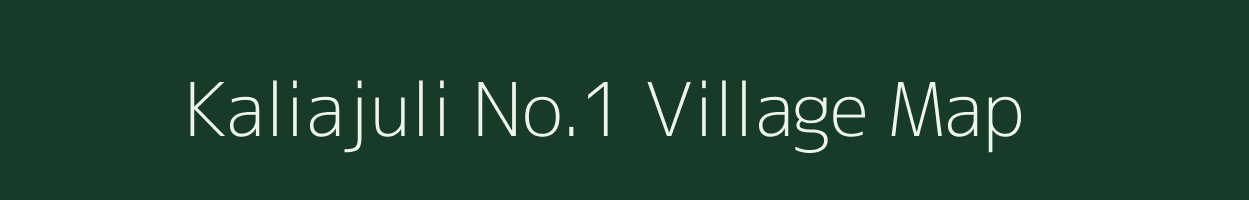 Kaliajuli No.1 village map in Assam