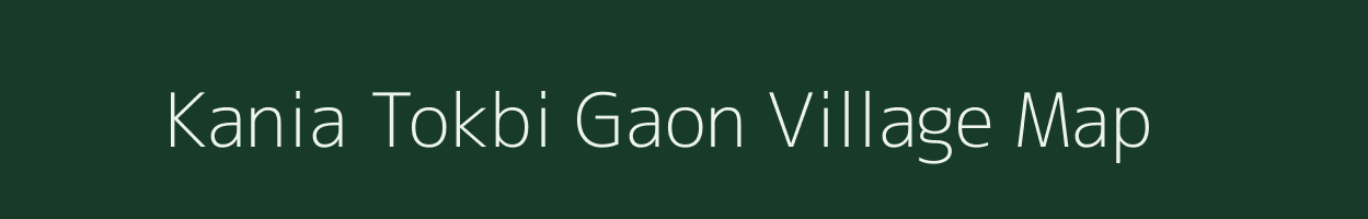 Kania Tokbi Gaon village map in Assam