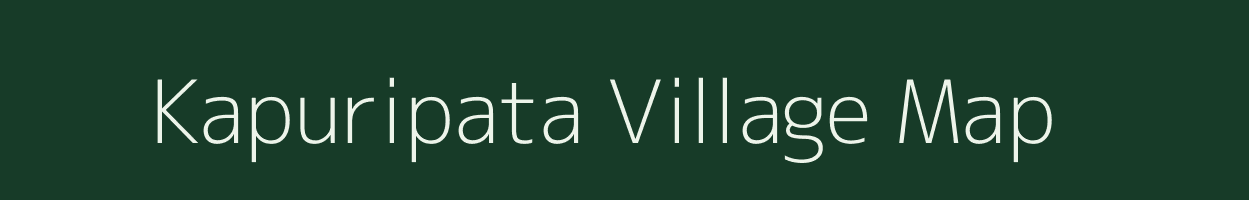 Kapuripata village map in Odisha