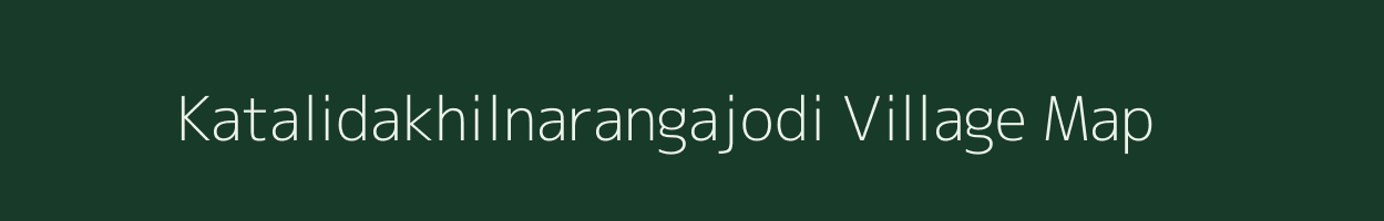 Katalidakhilnarangajodi village map in Odisha