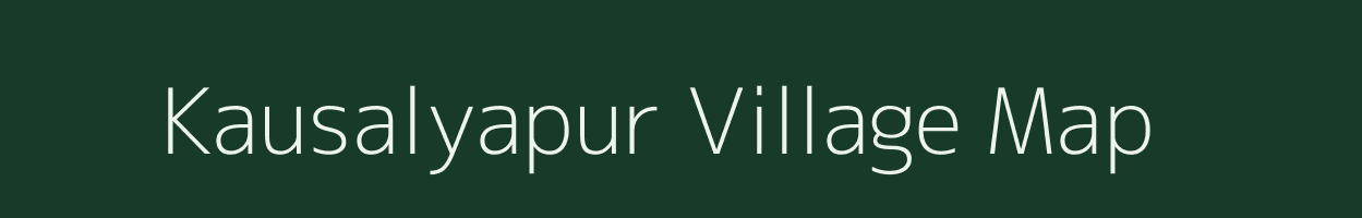 Kausalyapur village map in Odisha