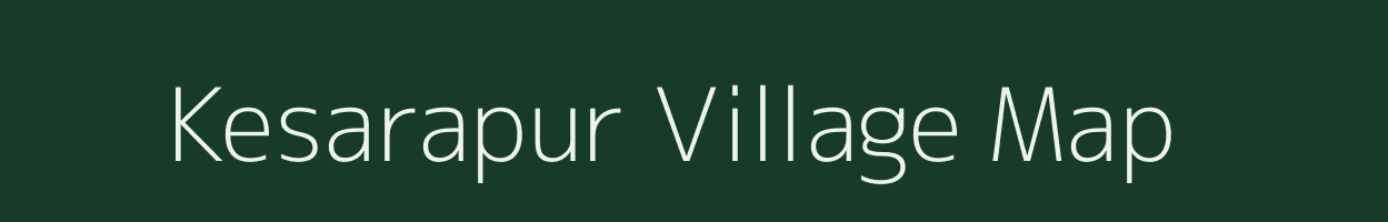 Kesarapur village map in Odisha
