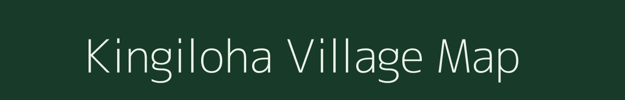 Kingiloha village map in Odisha