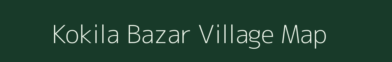 Kokila Bazar village map in Assam