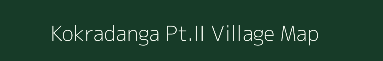 Kokradanga Pt.II village map in Assam