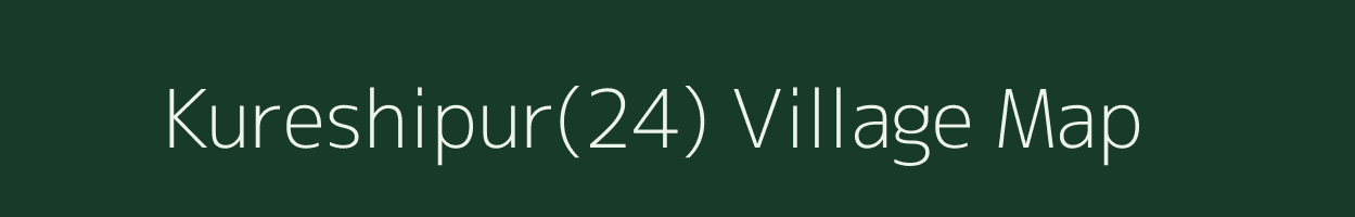 Kureshipur(24) village map in Haryana