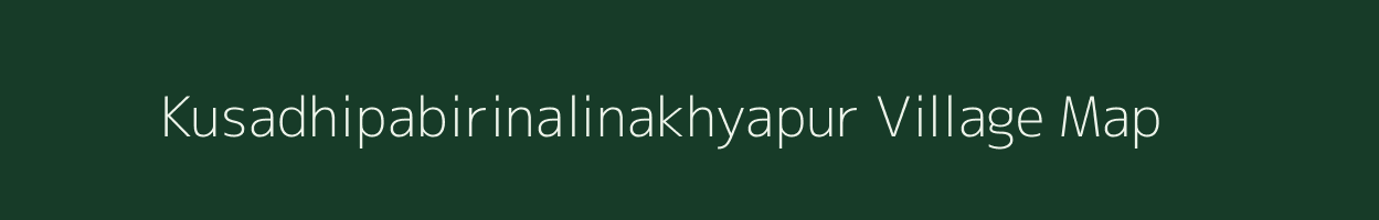 Kusadhipabirinalinakhyapur village map in Odisha