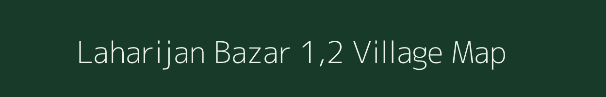 Laharijan Bazar 1,2 village map in Assam