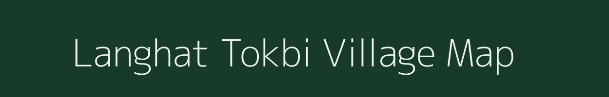 Langhat Tokbi village map in Assam