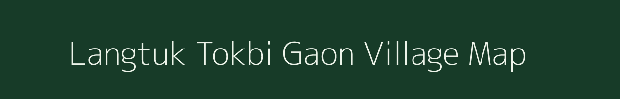 Langtuk Tokbi Gaon village map in Assam