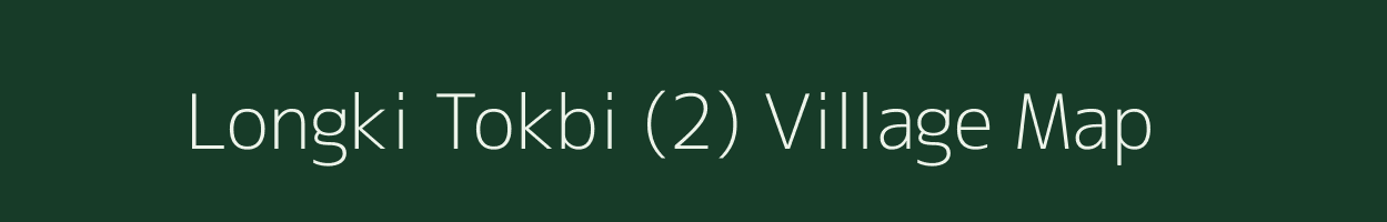 Longki Tokbi (2) village map in Assam