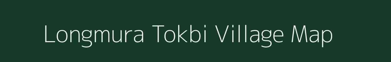 Longmura Tokbi village map in Assam