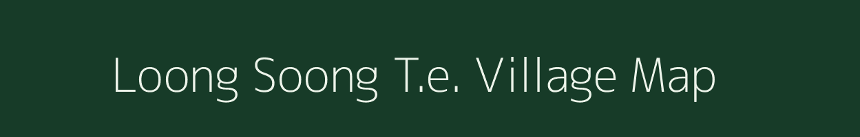 Loong Soong T.e. village map in Assam
