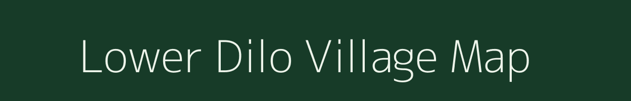 Lower Dilo village map in Arunachal Pradesh