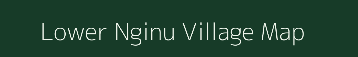 Lower Nginu village map in Arunachal Pradesh