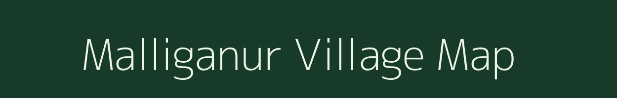 Malliganur village map in Karnataka