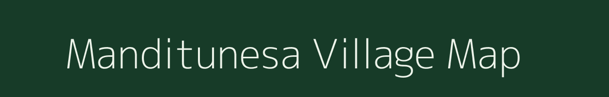 Manditunesa village map in Odisha