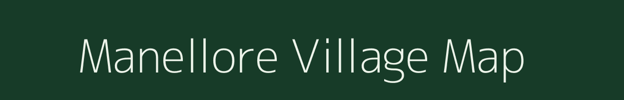 Manellore village map in Tamil Nadu