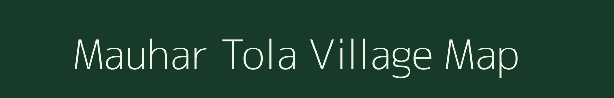 Mauhar Tola village map in Madhya Pradesh