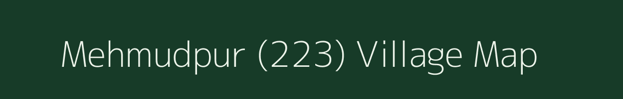 Mehmudpur (223) village map in Punjab