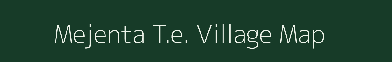 Mejenta T.e. village map in Assam