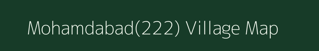 Mohamdabad(222) village map in Haryana