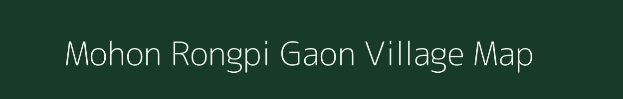 Mohon Rongpi Gaon village map in Assam