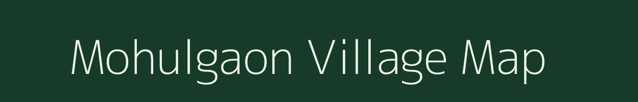 Mohulgaon village map in Maharashtra