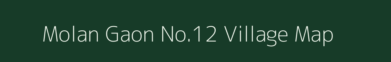 Molan Gaon No.12 village map in Assam