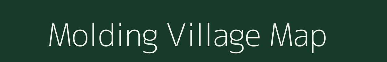 Molding village map in Assam