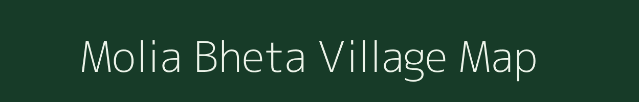 Molia Bheta village map in Assam
