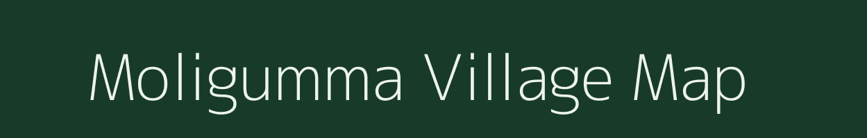 Moligumma village map in Odisha