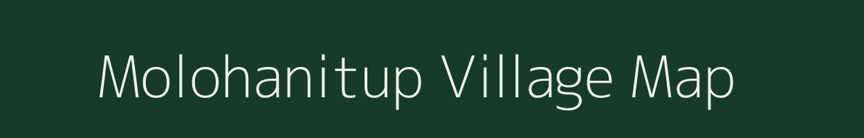 Molohanitup village map in Assam