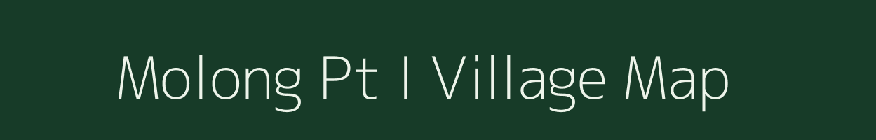 Molong Pt I village map in Assam