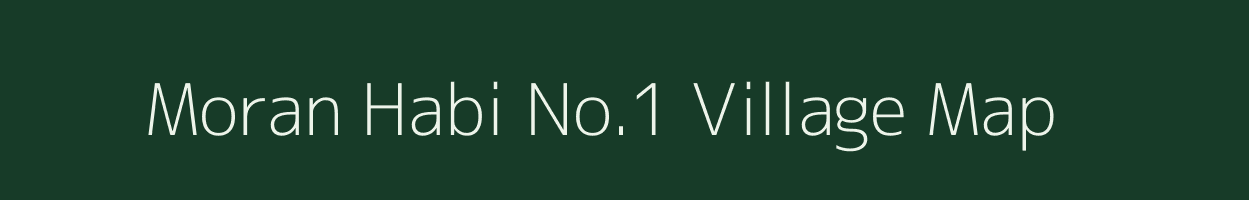 Moran Habi No.1 village map in Assam