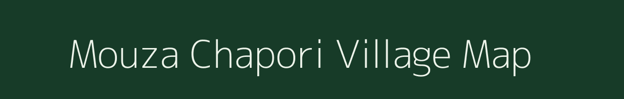 Mouza Chapori village map in Assam